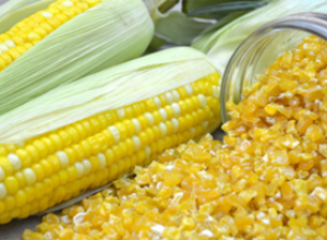 Dehydrated Corn kernels